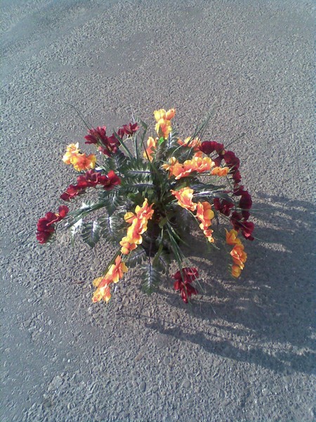 Pomniki / Nagrobki